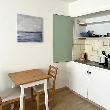 Cosy In Apartment Zurich